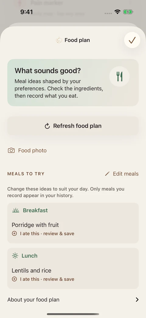 Food plan with editable breakfast and lunch ideas